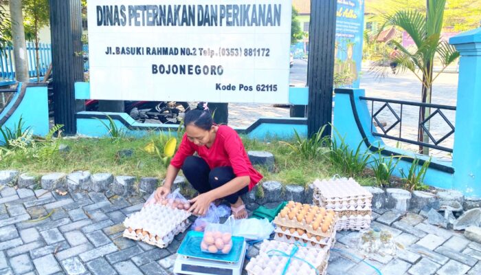 Program GAYATRI Bojonegoro Bantu Peternak Raup Pasar, Telur Dijual Langsung ke Masyarakat