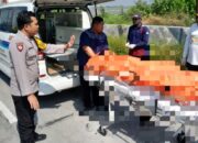 Pemotor Tewas usai Tabrakan dengan Truk di Lamongan