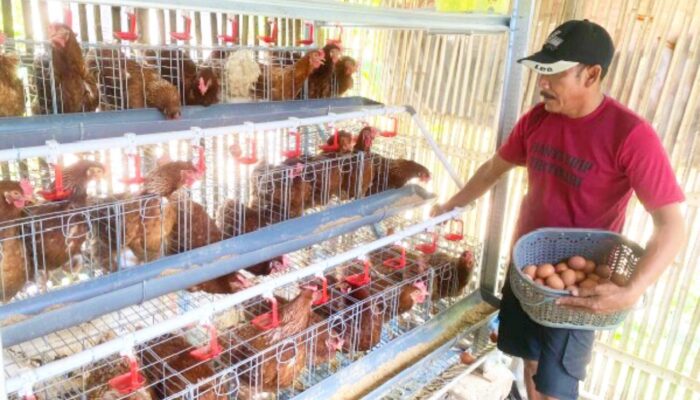 CSR Disiapkan untuk Peternak GAYATRI Bojonegoro, Subsidi Pakan hingga Alat Pengolah Jadi Opsi