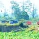 Dugaan Tambang Pasir Ilegal di Candirejo Blitar Belum Tersentuh Penindakan