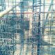 IMG 20260705 WA0023