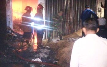 Kebakaran Besar di Pasar Agrobis Babat Lamongan, Penyebab Masih Misterius