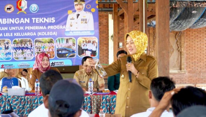Budidaya Lele Jadi Andalan, Wabup Nurul Minta Warga Bojonegoro Berani Berinovasi