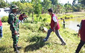 TMMD Bojonegoro, Kolaborasi TNI dan Mahasiswa Unigoro Bikin Embung Bekatul Lebih Bersih