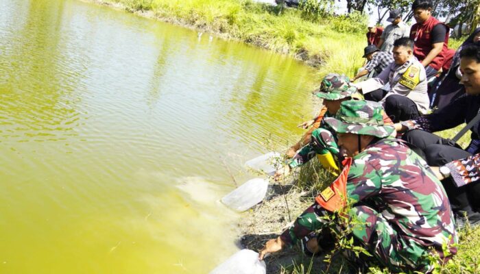 Bukan Sekedar Bangun Jalan, TMMD 129 Bojonegoro Kini Perkaya Embung dengan Ribuan Ikan