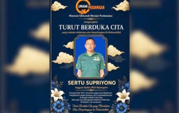 IMG 20260719 WA0042