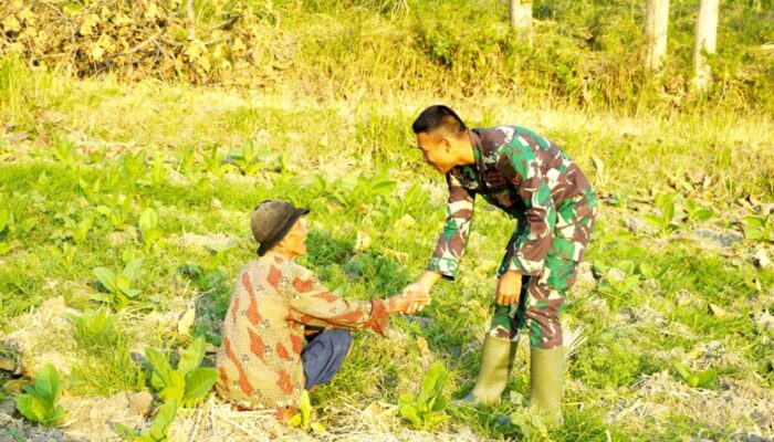 TMMD 129 Bojonegoro Hadirkan Kisah Menginspirasi, Prajurit Rangkul Warga dengan Hati