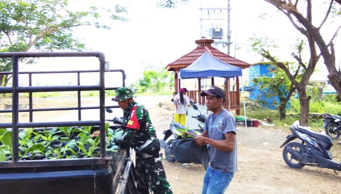 TMMD 129 Bojonegoro Bantu Warga Kesongo Tanam Sayuran, Wujud Nyata Kepedulian TNI