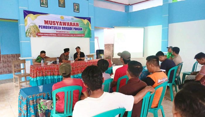 Anak Muda Kedungadem Bojonegoro Siap Ubah Pertanian Lewat Brigade Pangan