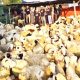 IMG 20260803 WA0031