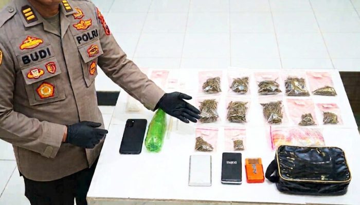 Digerebek di Area Persawahan, Pengedar Narkoba Malang Tak Berkutik