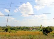 BPBD Bojonegoro Rilis Update Cuaca dan Debit Bengawan Solo, Ini Hasilnya