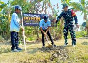 TMMD Bojonegoro Gerakkan Penghijauan, 50 Bibit Ditanam di Kesongo