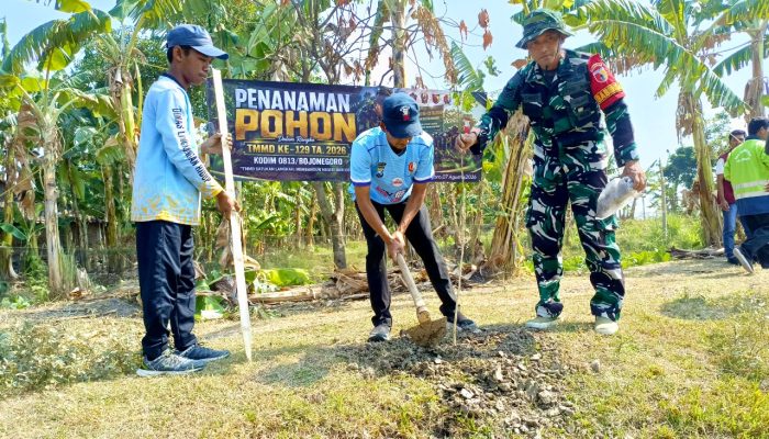 TMMD Bojonegoro Gerakkan Penghijauan, 50 Bibit Ditanam di Kesongo