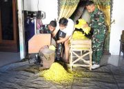 Kemanunggalan TNI dan Rakyat Terlihat di TMMD Bojonegoro, Prajurit Bantu Petani Tembakau