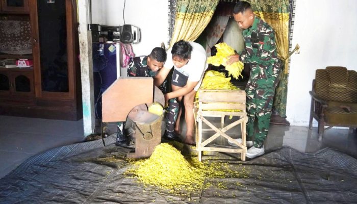 Kemanunggalan TNI dan Rakyat Terlihat di TMMD Bojonegoro, Prajurit Bantu Petani Tembakau