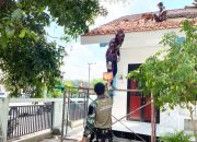 TMMD Bojonegoro Bikin SDN Kesongo 1 Makin Layak untuk Belajar