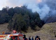 Tiga Helikopter BNPB Bombardir Titik Api Kebakaran Hutan dan Lahan Bromo, Jemplang Malang Aman