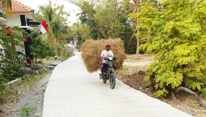 TMMD Bojonegoro Sentuh Jalan Pertanian, Warga Mundu Kini Lebih Mudah Bawa Panen