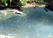 Buih dan Bau Tak Sedap Muncul di Sungai Pacal Bojonegoro, Ada Apa