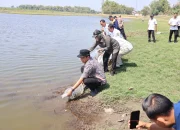 IMG 20260813 WA0043.jpg