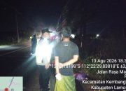 Nyaris Meluas, Kebakaran Tebu di Kembangbahu Lamongan Cepat Dipadamkan