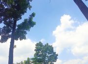 IMG 20260817 WA0004