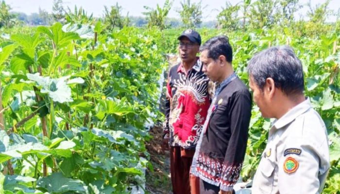 Petani Bojonegoro Ini Rancang Pertanian Sampai 7 Lantai