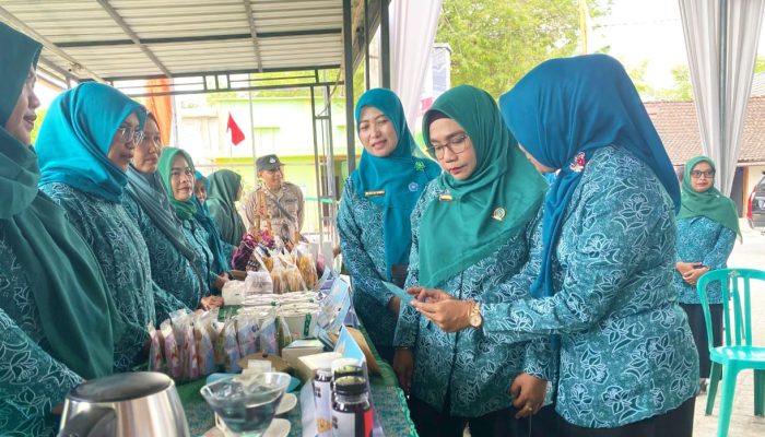 UMKM Semenkidul Bojonegoro Menggeliat, Jeruk Pamelo Jadi Andalan