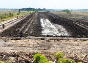 Bojonegoro Perkuat Embung Rowoglandang, Petani Bisa Bernapas Lega