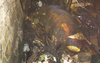 Kebakaran Hebat di Gendong Kulon Babat Lamongan, Kandang dan 4 Sapi Ludes