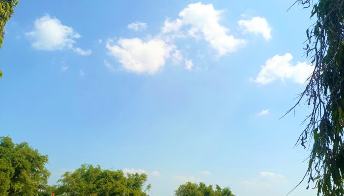 Bojonegoro Cerah Seharian, Suhu Siang Capai 32 Celcius