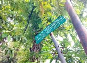 Ada Taman Migas, Bojonegoro Siapkan 2 Ruang Hijau Baru