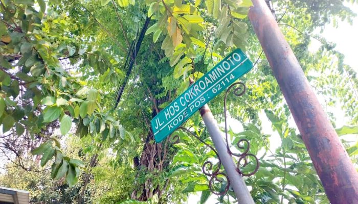 Ada Taman Migas, Bojonegoro Siapkan 2 Ruang Hijau Baru