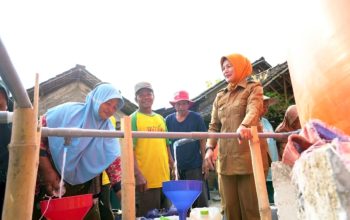 IMG 20260908 WA0006