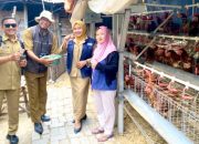 Dari Kandang ke Lapak, Begini Efek GAYATRI di Bojonegoro