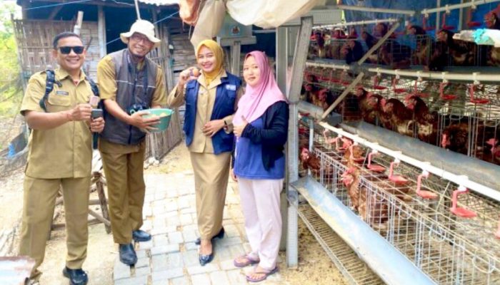 Dari Kandang ke Lapak, Begini Efek GAYATRI di Bojonegoro