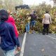 Pohon Tumbang di Lamongan, Respon Cepat Polisi Tuai Apresiasi