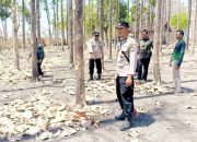 Hutan Kedungadem Disisir, Polres Bojonegoro Ingatkan Bahaya Karhutla
