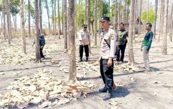 Hutan Kedungadem Disisir, Polres Bojonegoro Ingatkan Bahaya Karhutla