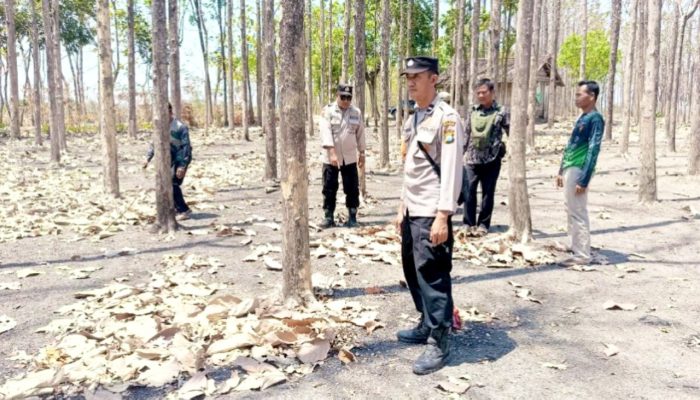 Hutan Kedungadem Disisir, Polres Bojonegoro Ingatkan Bahaya Karhutla
