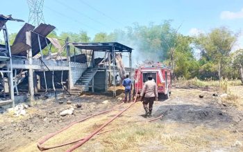 Diduga Korsleting, Kandang Ayam di Mantup Lamongan Terbakar