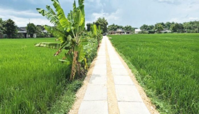 27.500 Meter JUT Dikebut di Bojonegoro, Ini Syarat Lahan yang Bisa Dibangun