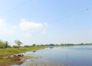 Prakiraan Cuaca Bojonegoro 20 September, Angin Siang Capai 27 Km Perjam