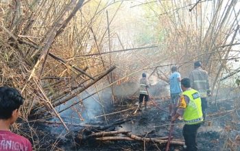 Bara Sampah hingga Korsleting, Dua Kebakaran Gegerkan Lamongan