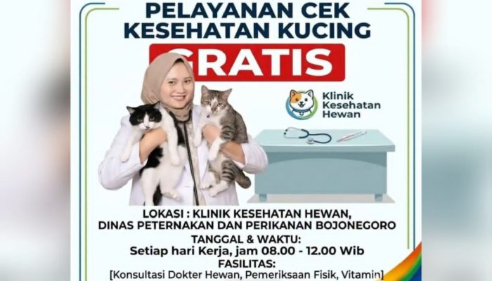 Cat Lovers Bojonegoro Wajib Tahu, Ada Cek Kesehatan Kucing Gratis