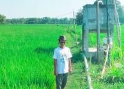 Dari Krisis Air Jadi Panen Raya, Kisah Petani Lengkong Bojonegoro