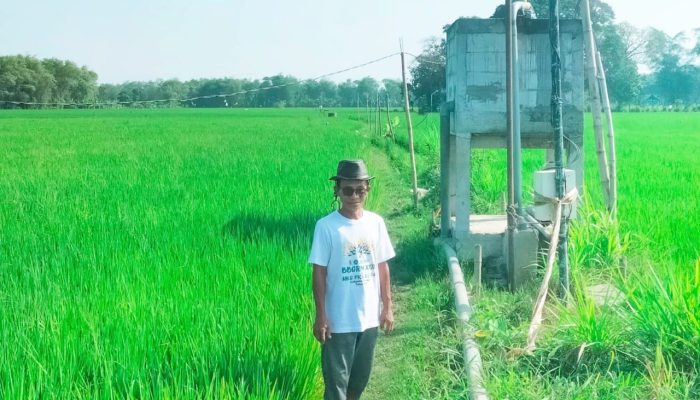 Dari Krisis Air Jadi Panen Raya, Kisah Petani Lengkong Bojonegoro