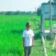 Dari Krisis Air Jadi Panen Raya, Kisah Petani Lengkong Bojonegoro