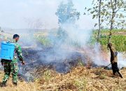 Babinsa Modo Turun Tangan, Kebakaran Lahan Medalem Lamongan Berhasil Dikendalikan